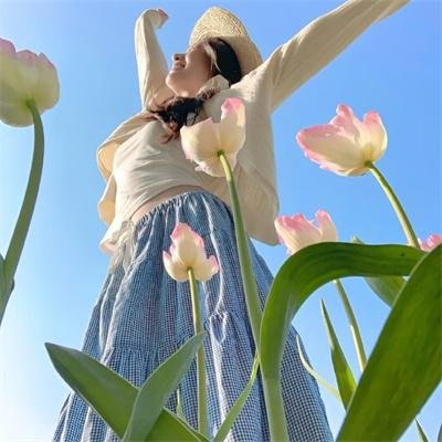 写给国王的信